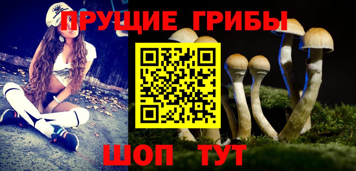 Галлюциногенные грибы ЛСД  Вход с VPN  Старая Купавна 
