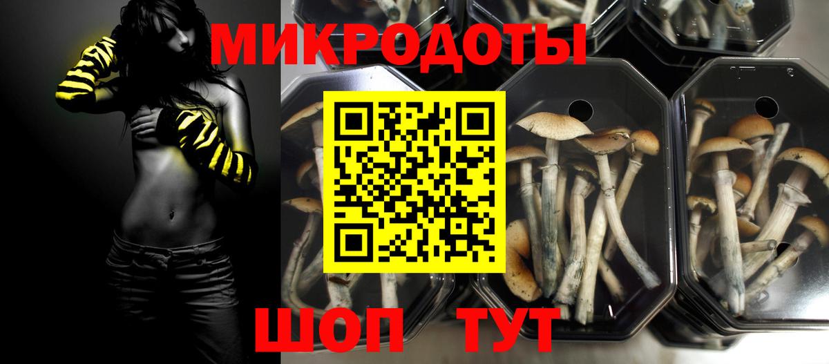 Псилоцибиновые грибы мухоморы Старая Купавна